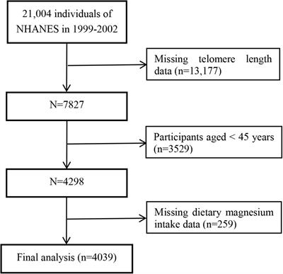 Association of Dietary Magnesium Intake With Leukocyte Telomere Length in United States Middle-Aged and Elderly Adults